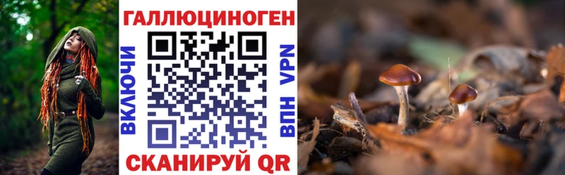 Купить где  Агидель  Галлюциногенные грибы Magic Shrooms 